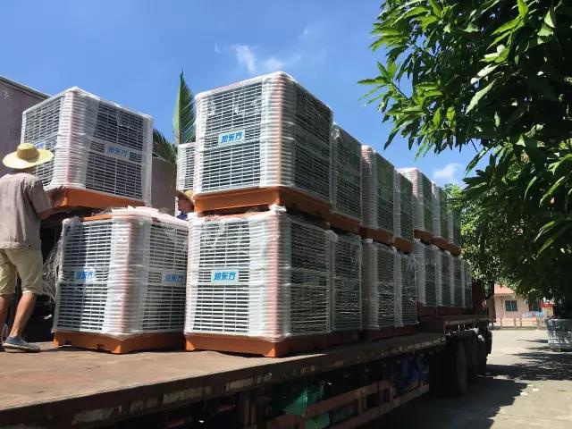 工廠車間快速降溫方法，你知道嗎？